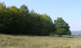 Peisaj împrejurimi municipiul Moreni