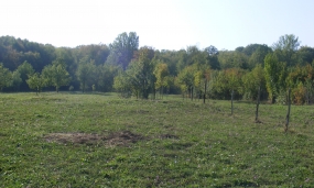 Peisaj împrejurimi municipiul Moreni