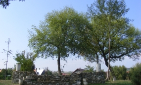 Parc Central