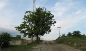 Poze din Municipiul Moreni